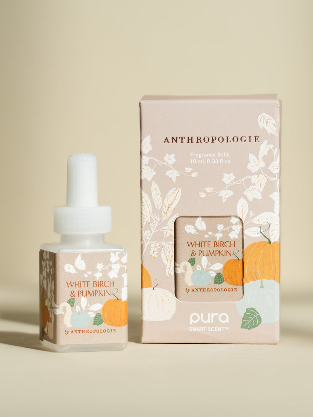 White Birch & Pumpkin - Your Daily Home Refresh