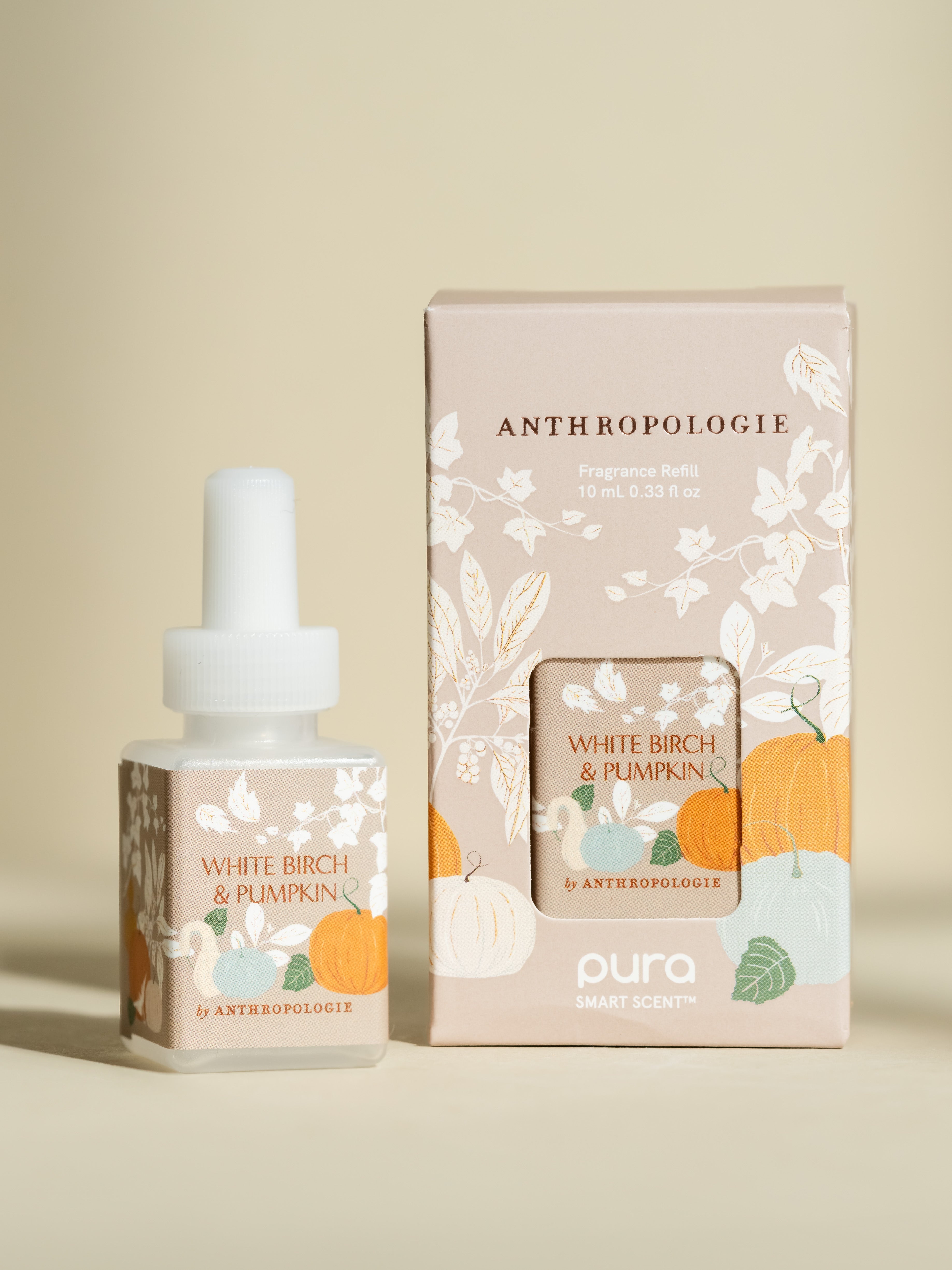 White Birch & Pumpkin - Your Daily Home Refresh