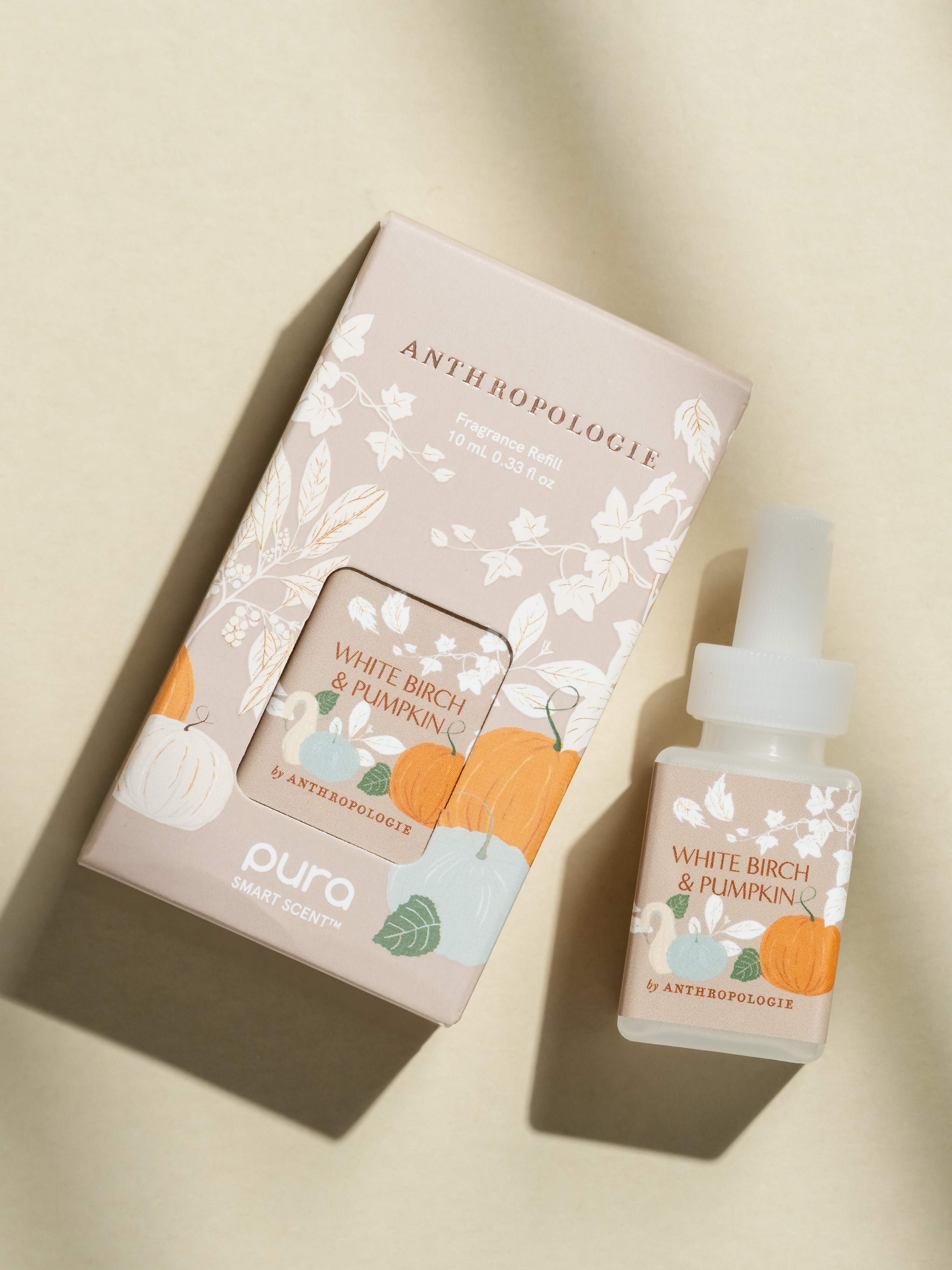 White Birch & Pumpkin - Your Daily Home Refresh