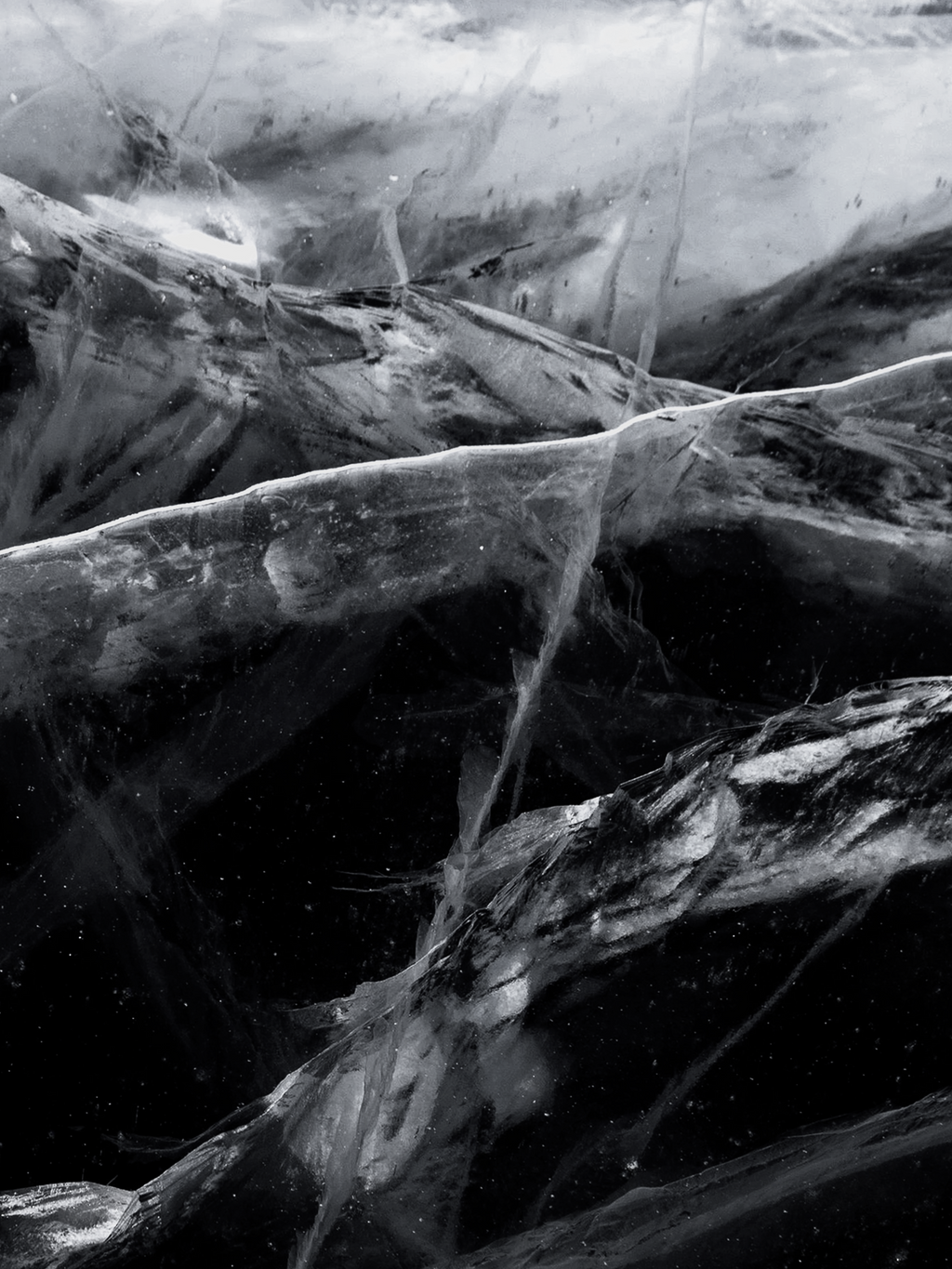 Black Frost - Your Scented Home Starts Here