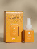 Pumpkin Dulce - Make Every Entrance Smell Better