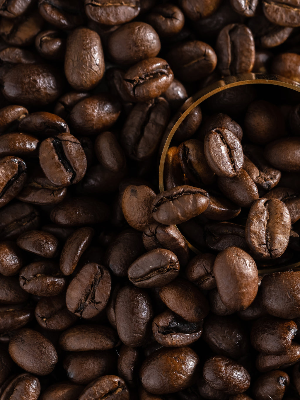 Reverie Roast - Every Space Needs Freshness