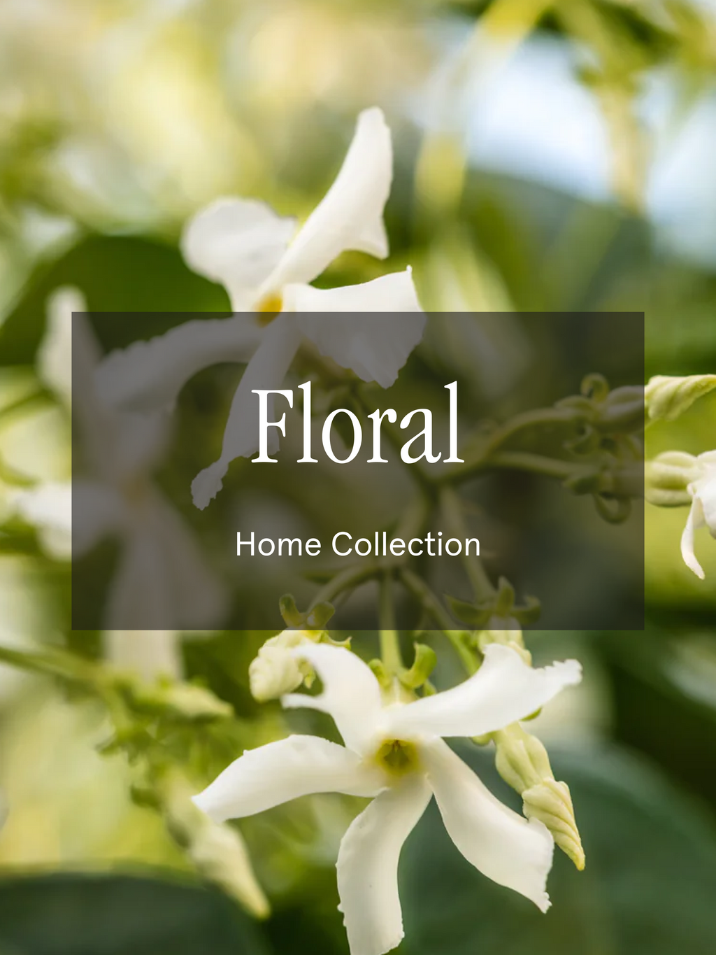 Floral - Make Home Feel More Relaxing