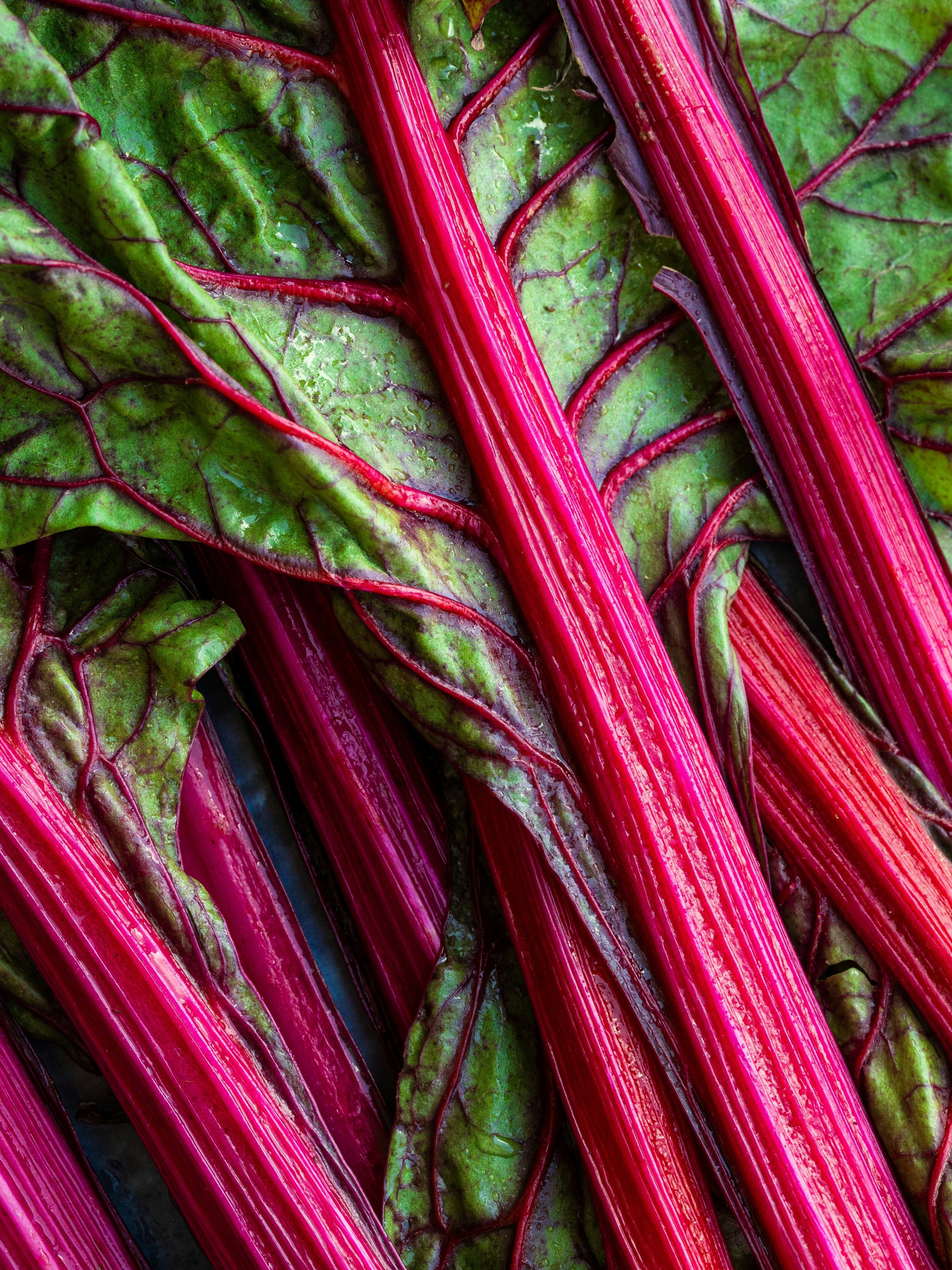 Rhubarb Honey - Your Favorite Scent Starts Here