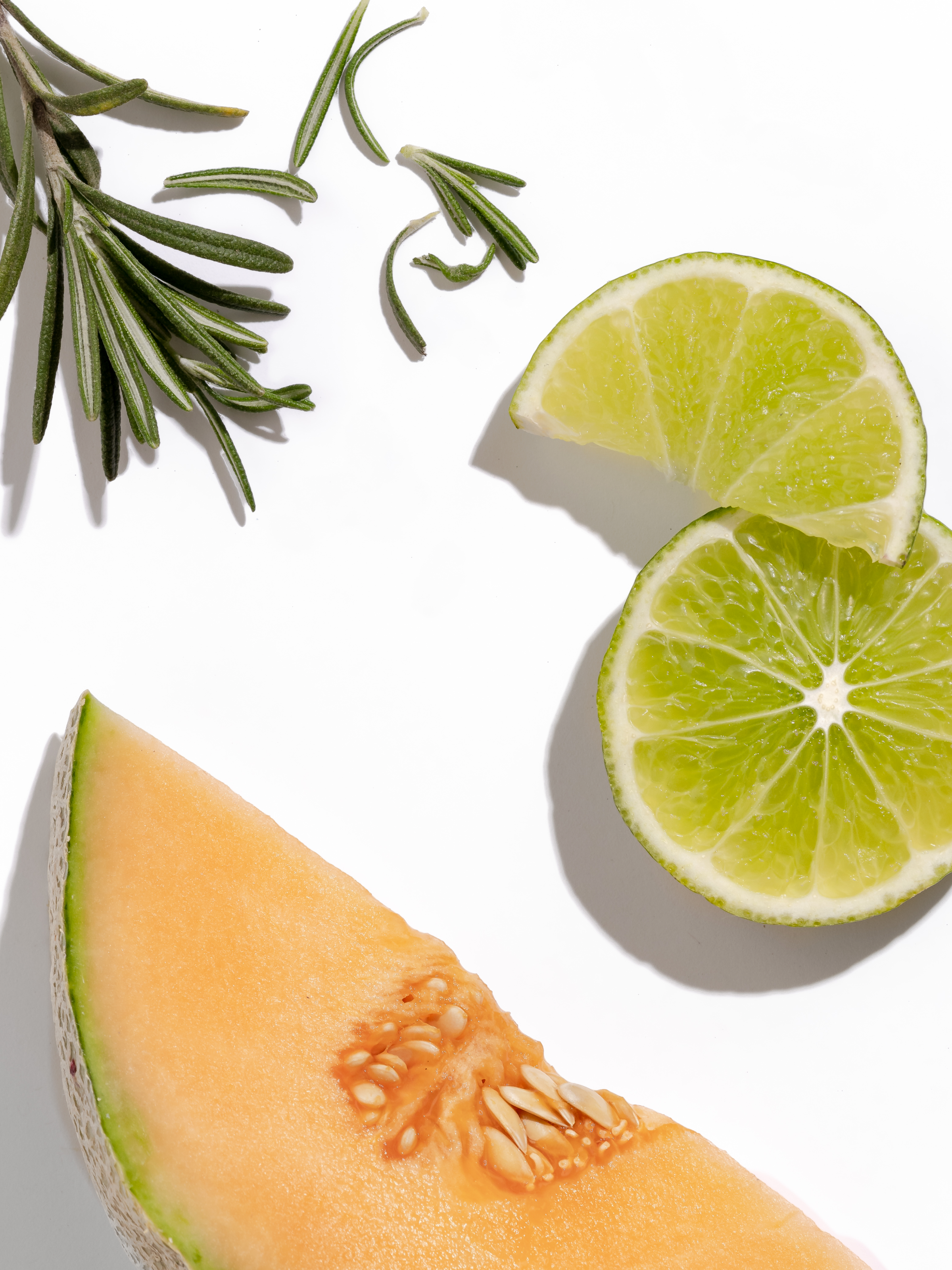 Paloma Melon - Freshen the Way You Live
