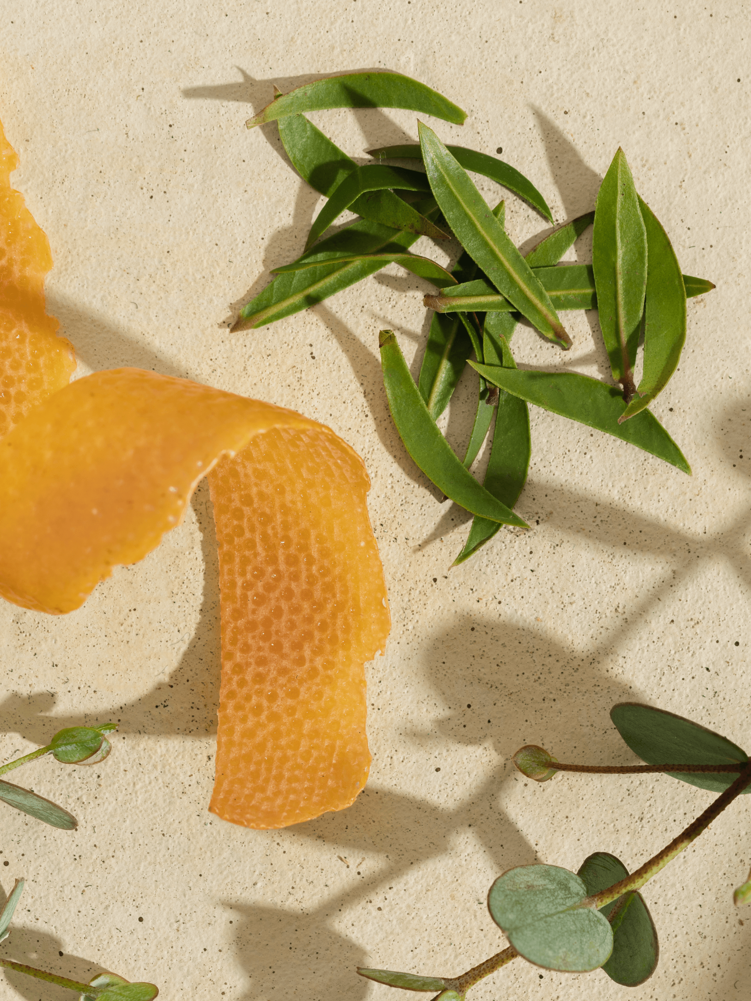 White Tea Blossom - Make Your Space Feel New
