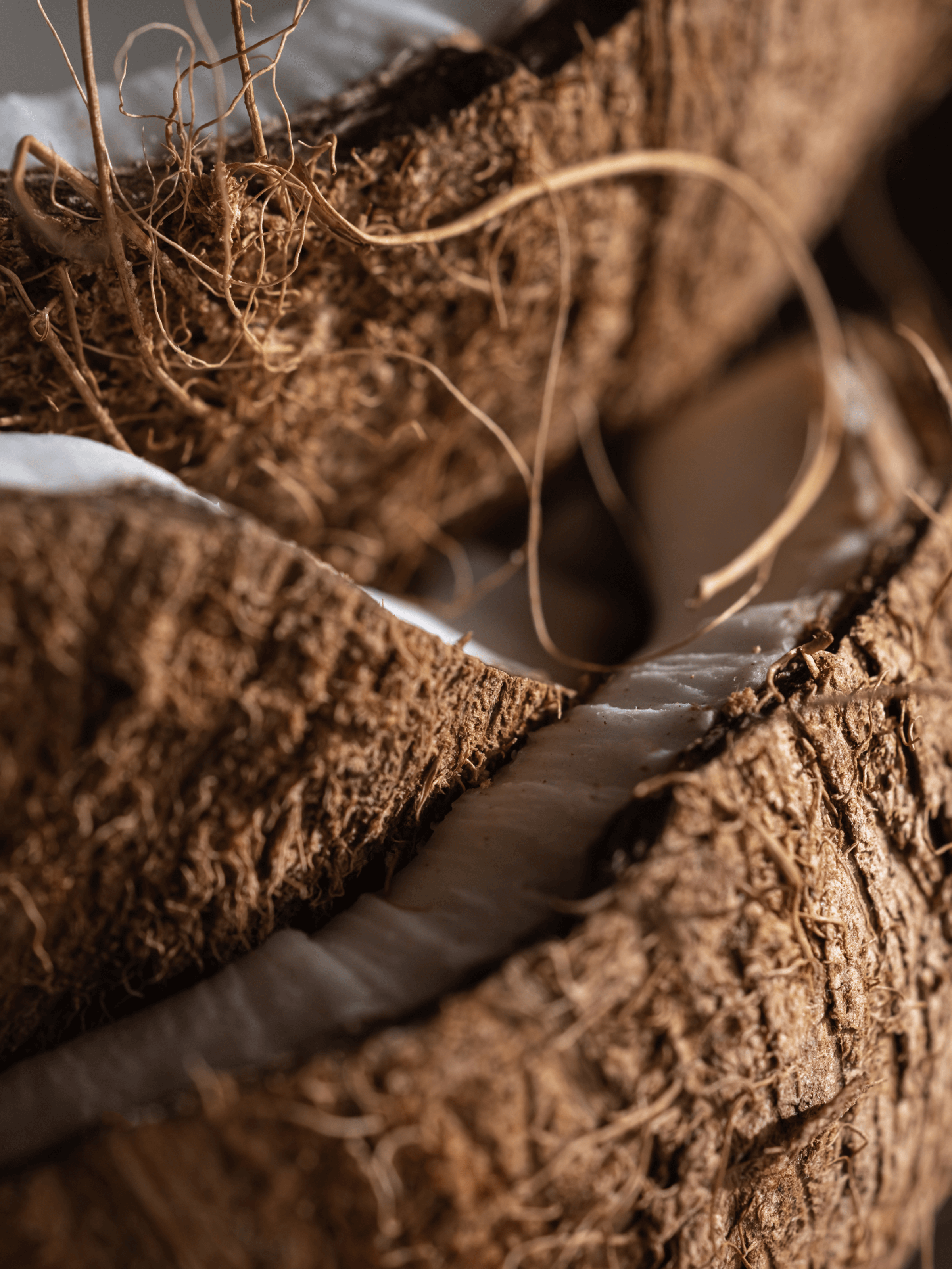 Coconut Oasis - Create Fresh Comfort at Home