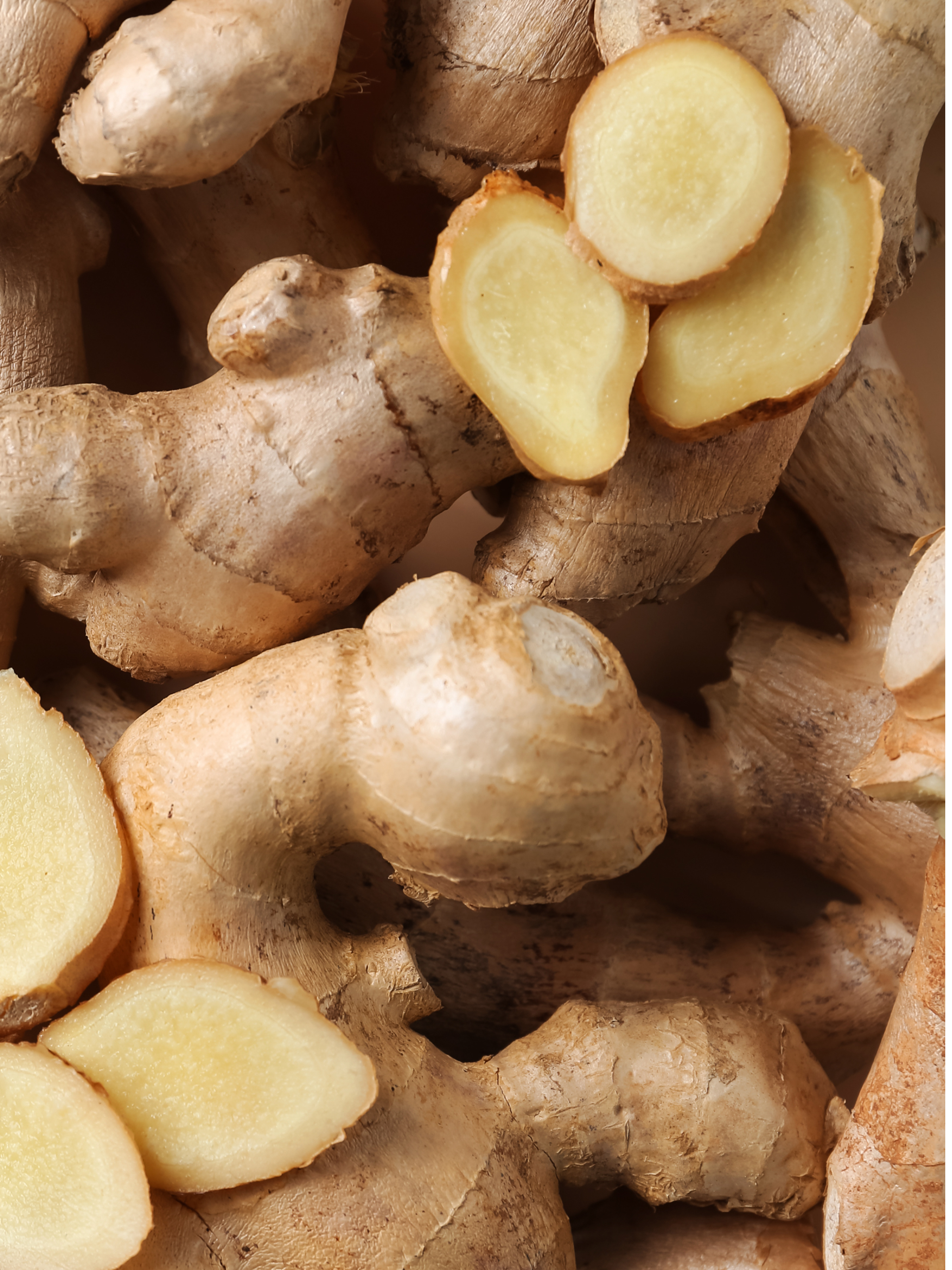Pumpkin Ginger - Drive With a Fresh Scent