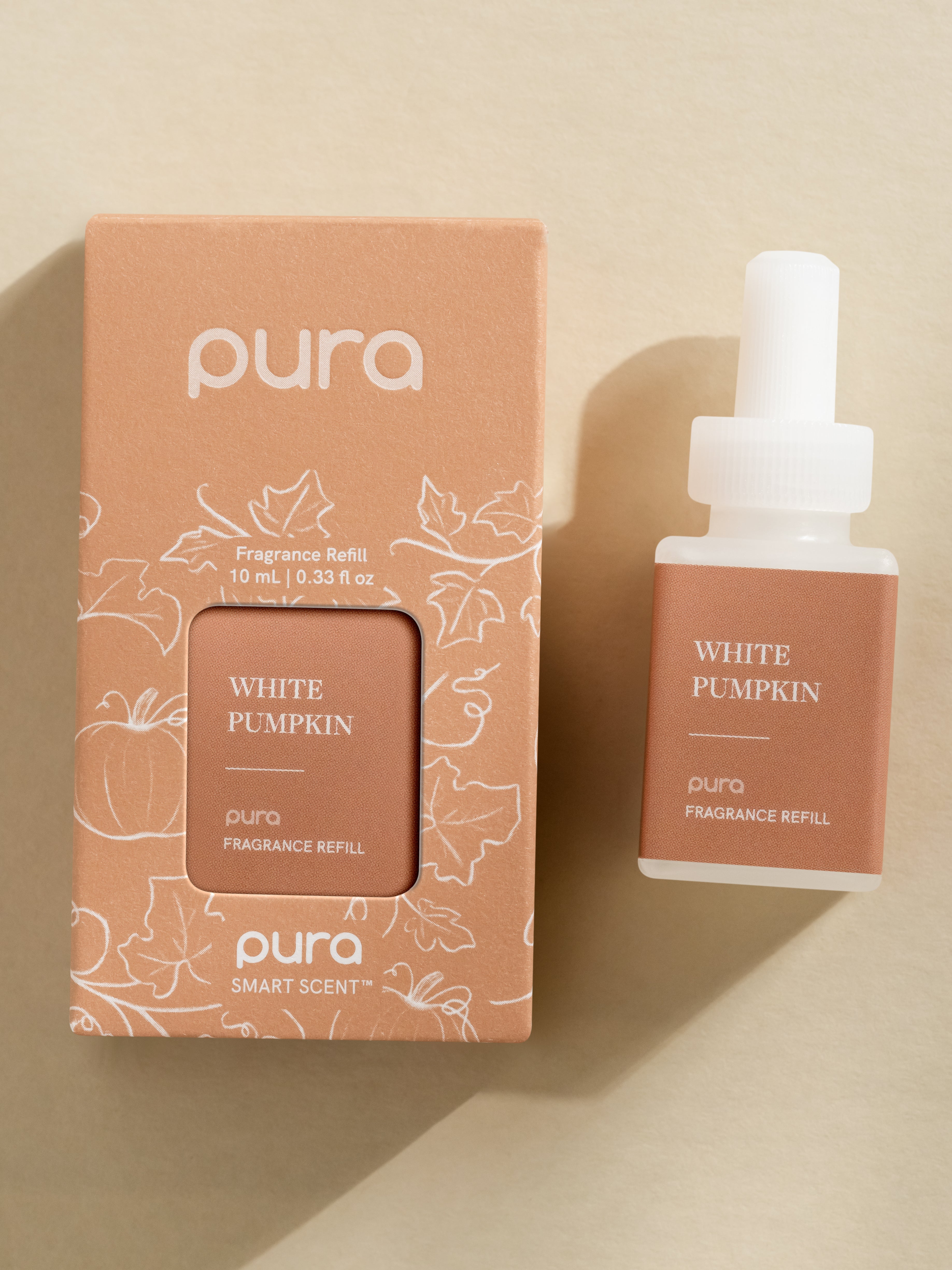 White Pumpkin - Freshen Up Your Favorite Spaces