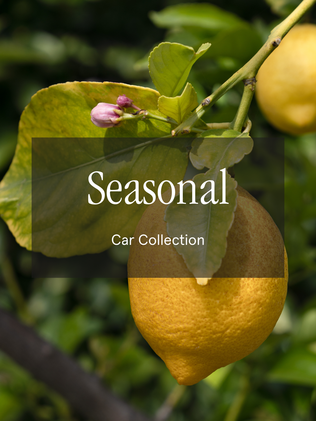 Seasonal - Refresh Your Space Your Way