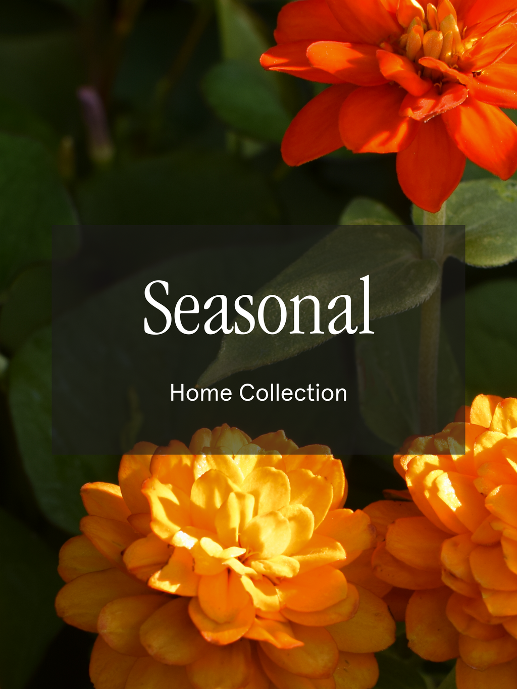 Seasonal - Choose a Better Home Scent