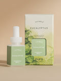 Eucalyptus - Every Room Needs a Great Scent