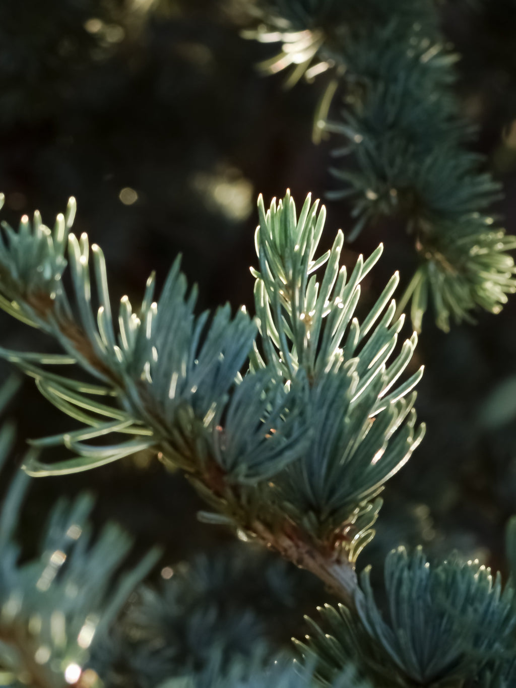 Utah - Refresh Your Home in Seconds