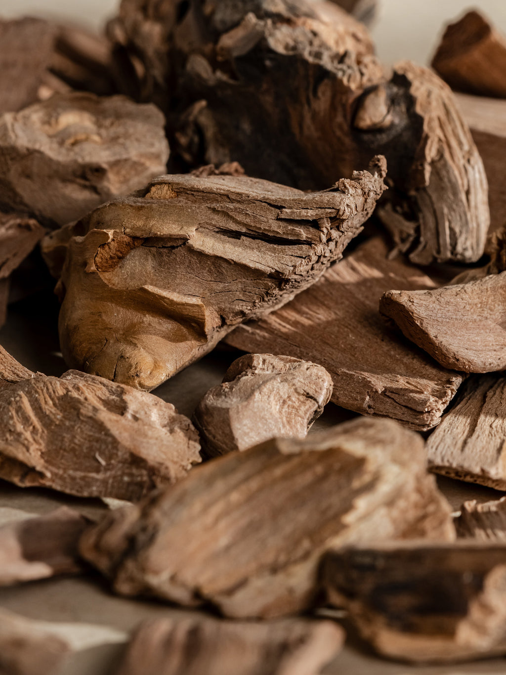 Chestnut Embers - Start With a Better Scent