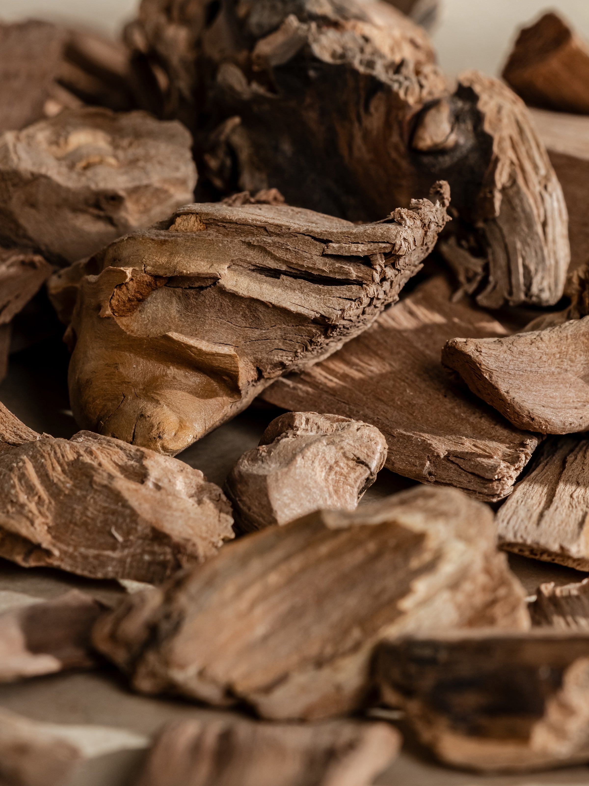 Chestnut Embers - Start With a Better Scent