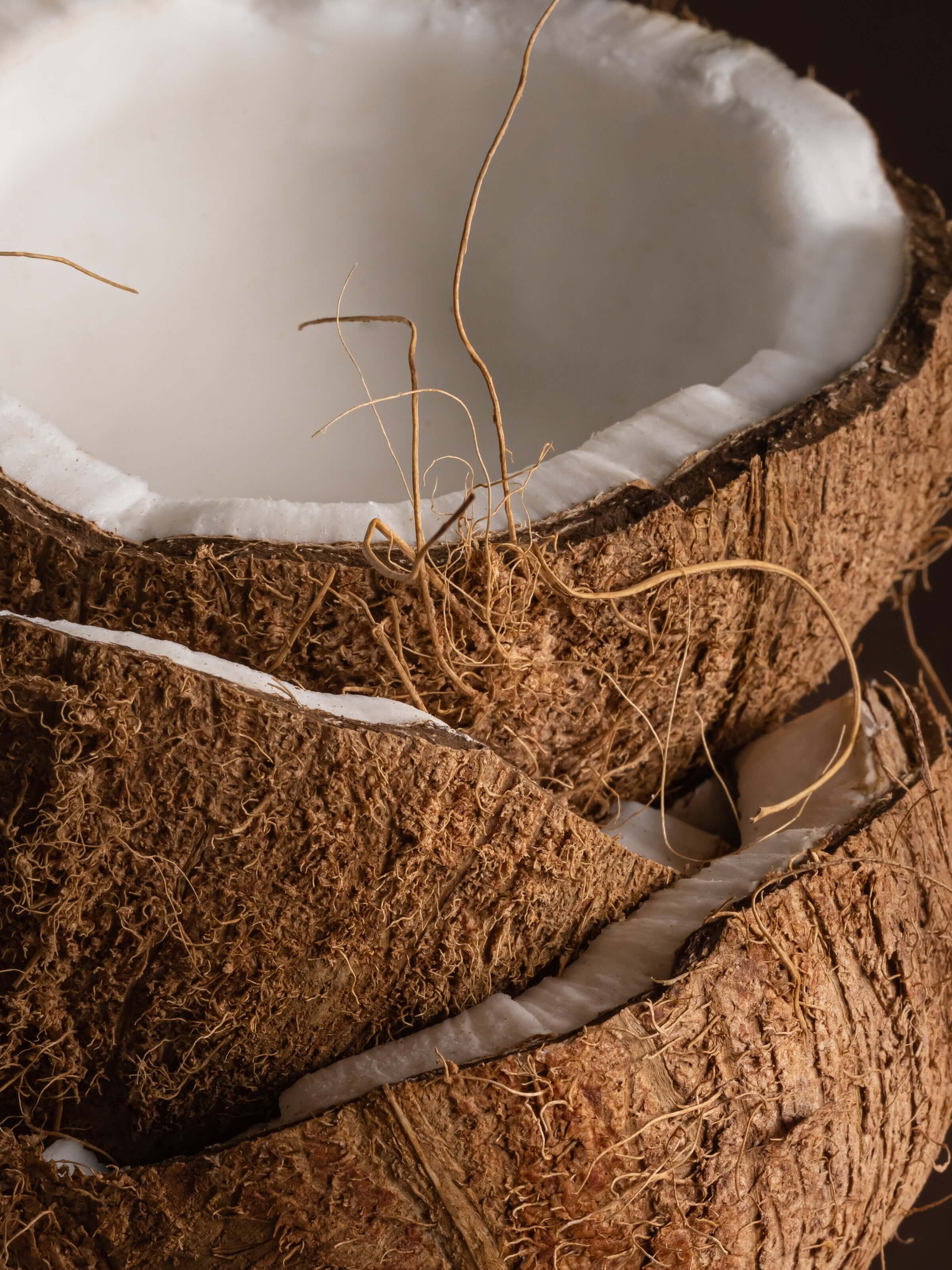 Coconut Milk Mango - Fragrance Refills for Every Mood