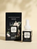 Night Gardenia - Make Your Space More Memorable