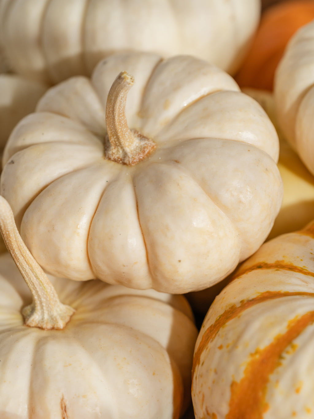 Pumpkin Macchiato - Find Freshness for Every Room