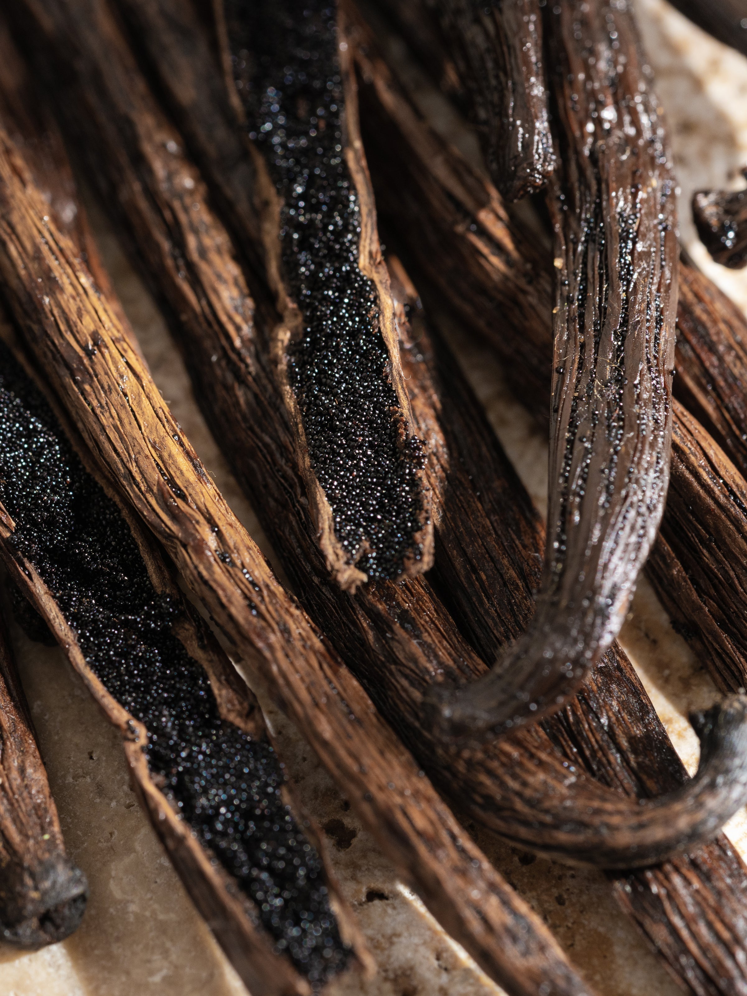 Cardamom Vanilla - Give Your Entryway a Signature Scent