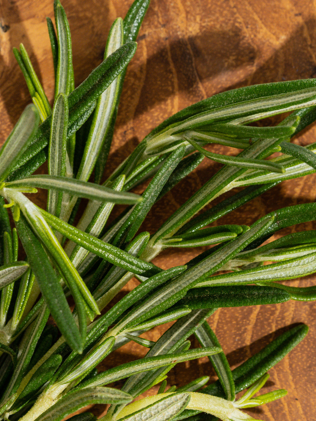Rosemary Eucalyptus - Fragrance That Changes the Room